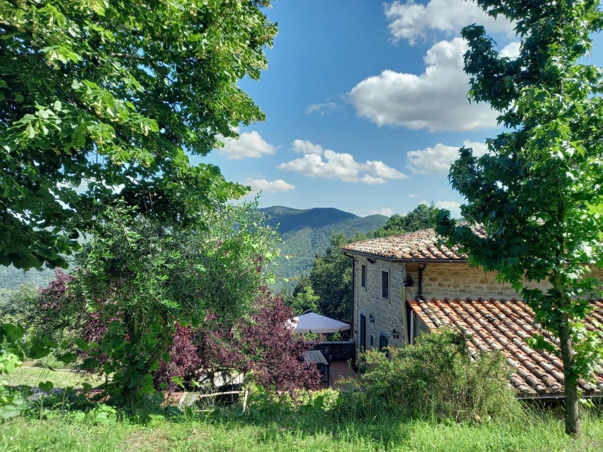 Valle Dame Cortona Exterior foto