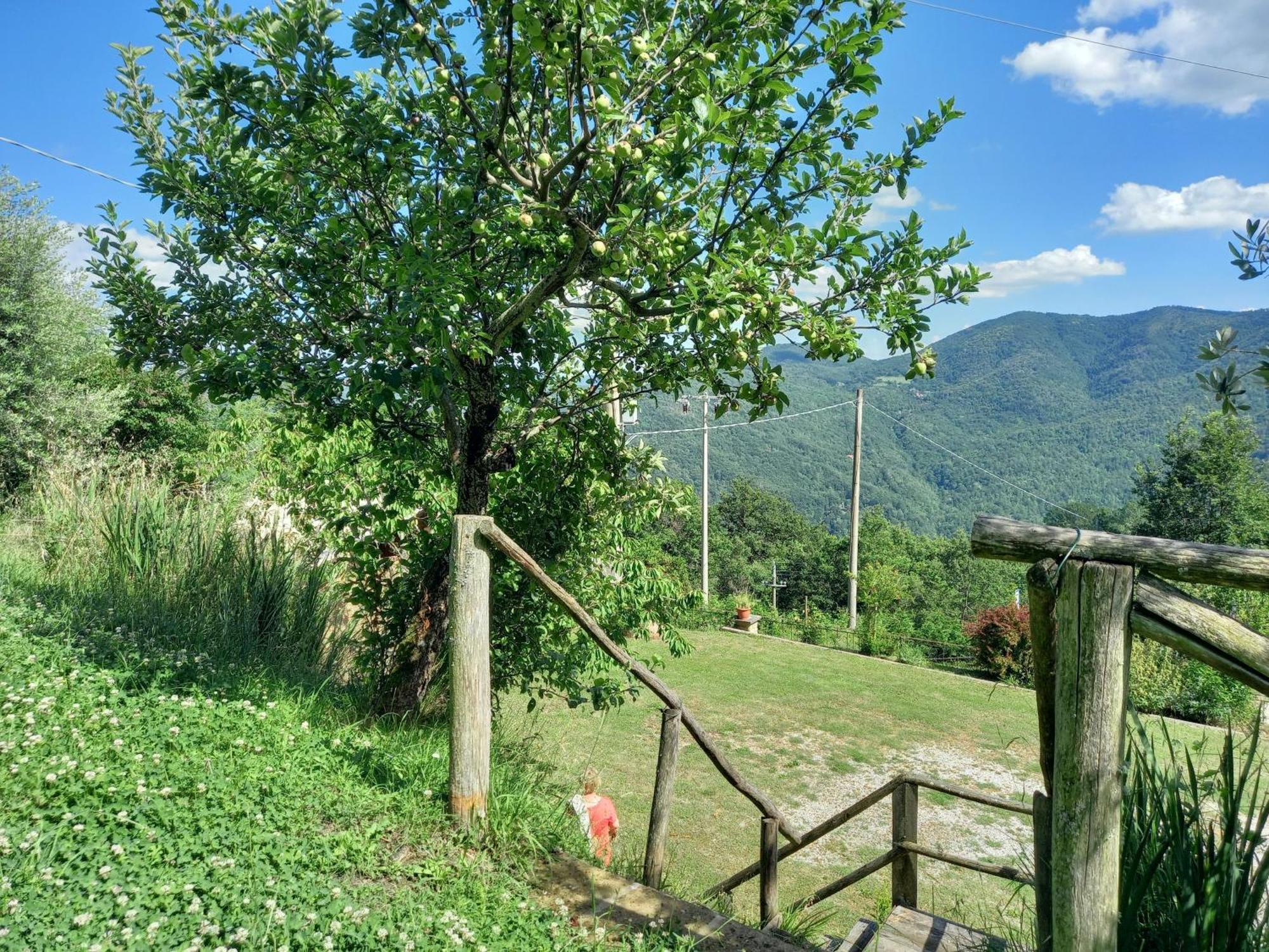 Valle Dame Cortona Exterior foto